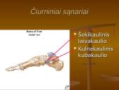 Pėdos kompleksas 5 puslapis