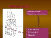 Pėdos kompleksas 8 puslapis