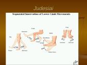 Pėdos kompleksas 10 puslapis