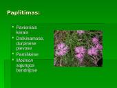 Penkialapis dobilas. Raktažolė pelenėlė. Puošnusis gvazdikas. Miškinė varnalėša 15 puslapis