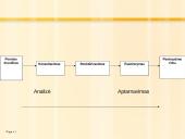 Perdraudimo kompanijų veiklos ypatumai ir problemos pasaulinėje finansų rinkoje 11 puslapis