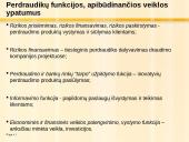 Perdraudimo kompanijų veiklos ypatumai ir problemos pasaulinėje finansų rinkoje 12 puslapis