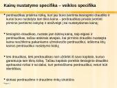 Perdraudimo kompanijų veiklos ypatumai ir problemos pasaulinėje finansų rinkoje 16 puslapis