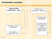 Perdraudimo kompanijų veiklos ypatumai ir problemos pasaulinėje finansų rinkoje 6 puslapis