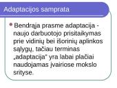 Personalo adaptacija ir jos formos 2 puslapis