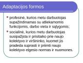 Personalo adaptacija ir jos formos 4 puslapis