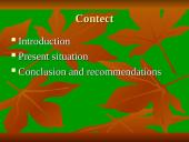 Most popular pets 2 puslapis