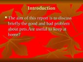 Most popular pets 3 puslapis