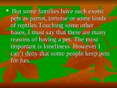 Most popular pets 5 puslapis