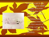 Most popular pets 7 puslapis