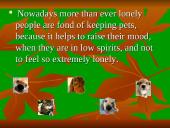 Most popular pets 8 puslapis