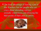 Most popular pets 9 puslapis