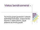 Piliečių dalyvavimas bendruomenės veikloje ir sprendimų priėmime 2 puslapis