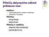 Piliečių dalyvavimas bendruomenės veikloje ir sprendimų priėmime 11 puslapis