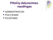 Piliečių dalyvavimas bendruomenės veikloje ir sprendimų priėmime 12 puslapis