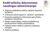 Piliečių dalyvavimas bendruomenės veikloje ir sprendimų priėmime 13 puslapis