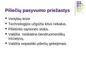 Piliečių dalyvavimas bendruomenės veikloje ir sprendimų priėmime 16 puslapis