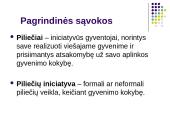 Piliečių dalyvavimas bendruomenės veikloje ir sprendimų priėmime 3 puslapis