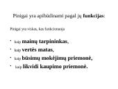 Pinigų egzistavimo prielaidos, kilmė 2 puslapis