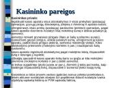 Pinigų apskaita banke ir kasoje 17 puslapis