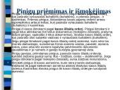 Pinigų apskaita banke ir kasoje 20 puslapis