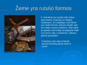 Pirmosios geografinės žinios. Kristupas Kolumbas 3 puslapis