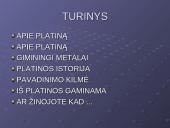 Apie platiną 2 puslapis