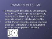 Apie platiną 7 puslapis