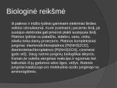 Platininių metalų grupė 19 puslapis