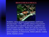 Poilsinės kelionės: Kroatija ir Lietuva 14 puslapis