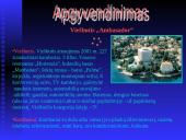 Poilsinės kelionės: Kroatija ir Lietuva 6 puslapis