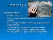 Prancūziškasis sensualizmas 11 puslapis