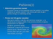 Prancūziškasis sensualizmas 16 puslapis