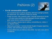 Prancūziškasis sensualizmas 17 puslapis