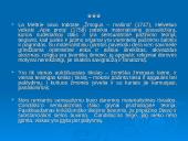 Prancūziškasis sensualizmas 19 puslapis