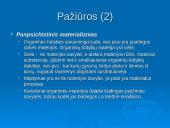 Prancūziškasis sensualizmas 5 puslapis