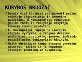 Prarastosios kartos atstovai E.M. Remarkas ir E. Hemingvėjus 15 puslapis