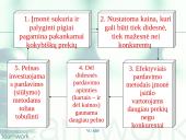 Prekės/produkto orientacija 10 puslapis