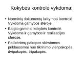 Prekių kokybės įvertinimo metodai ir trūkumai 10 puslapis