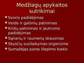 Premenstruacinis sindromas (PMS) 14 puslapis