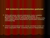 Pridėtinės vertės mokestis (PVM) ir jį reglamentuojantys įstatymai 13 puslapis