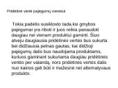 Pridėtinės vertės rodikliai ir  pardavimų struktūra 16 puslapis