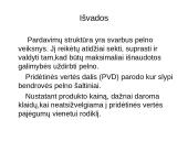 Pridėtinės vertės rodikliai ir  pardavimų struktūra 18 puslapis