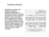 Pridėtinės vertės rodikliai ir  pardavimų struktūra 7 puslapis