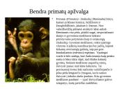 Primatai istorijoje 2 puslapis