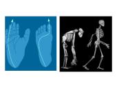 Primatai istorijoje 11 puslapis