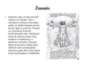 Primatai istorijoje 12 puslapis