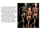 Primatai istorijoje 13 puslapis