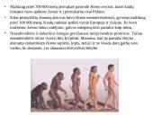 Primatai istorijoje 14 puslapis