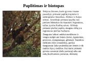 Primatai istorijoje 8 puslapis